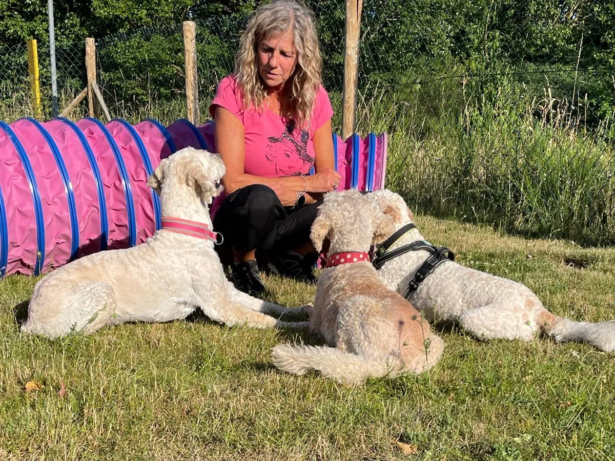 Andrea Hendges-Tiburcy sitzt auf der Wiese vor einem Hundetunnel, drei helle lockige Hunde liegen ruhig bei ihr