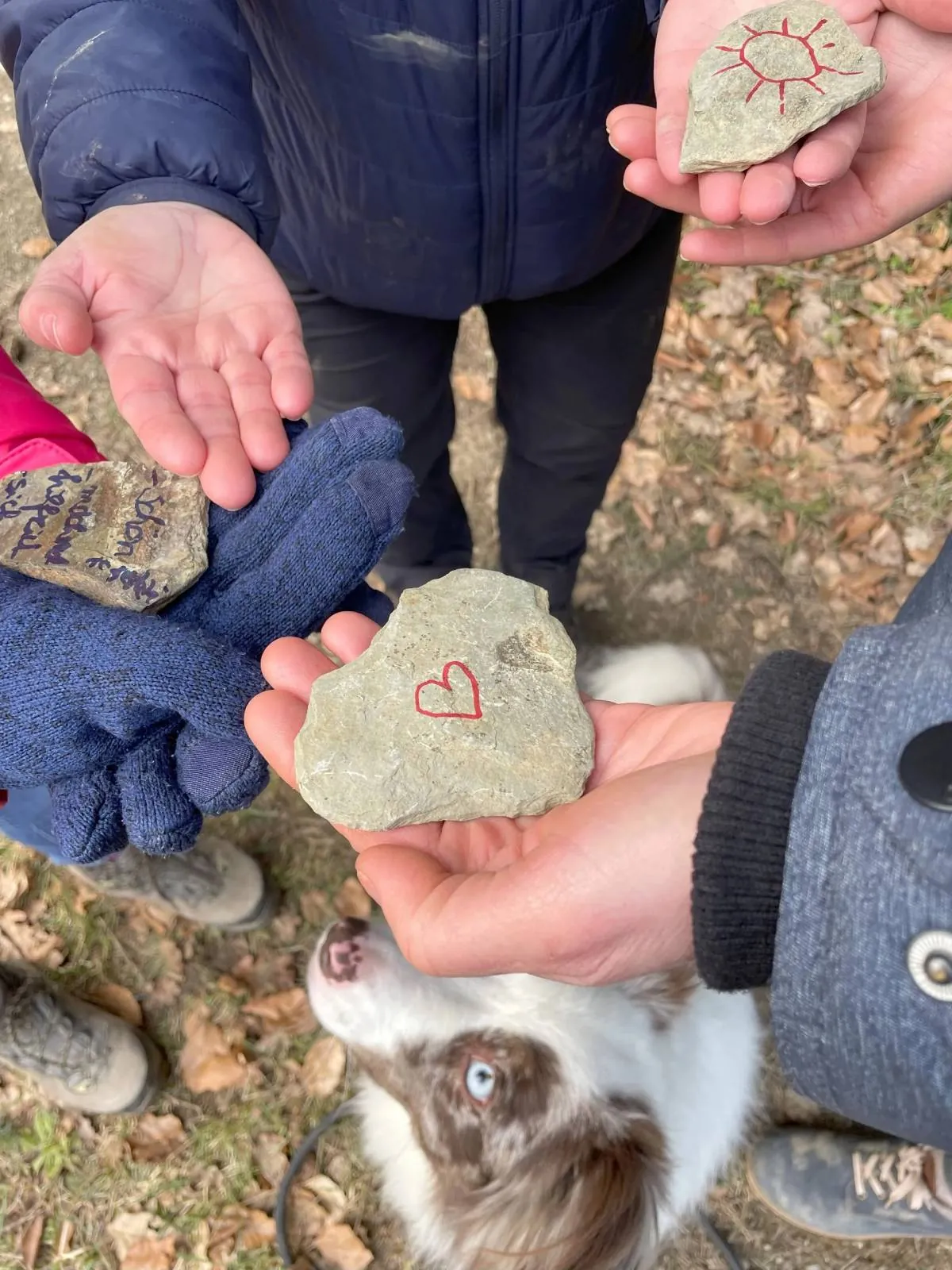 Hände halten einen Stein mit aufgemaltem Herz, darunter schaut ein Hund